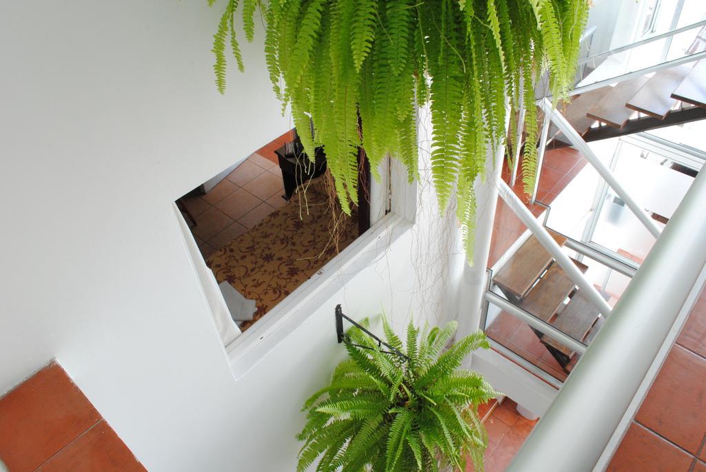 Hotel Romi Κολονία ντε Σακραμεντο Εξωτερικό φωτογραφία