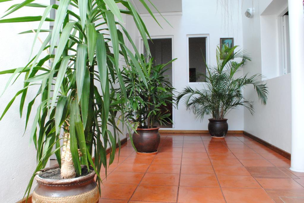 Hotel Romi Κολονία ντε Σακραμεντο Εξωτερικό φωτογραφία